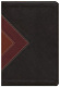 NLT Illustrated Study Bible, TuTone Brown / Tan